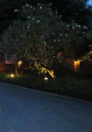 entry picture