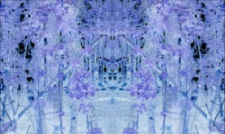 entry picture