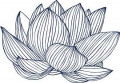 entry picture