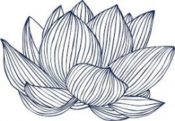 entry picture