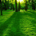 entry picture