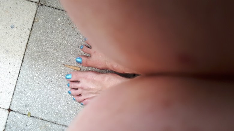 entry picture