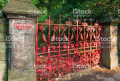 entry picture