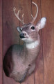 entry picture