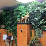 Venue image - Java Jungle