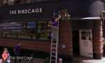Venue image - The Birdcage